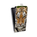 Дизайнерский вертикальный чехол-книжка для HTC Desire Eye Тигры