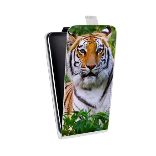 Дизайнерский вертикальный чехол-книжка для Iphone 5c Тигры