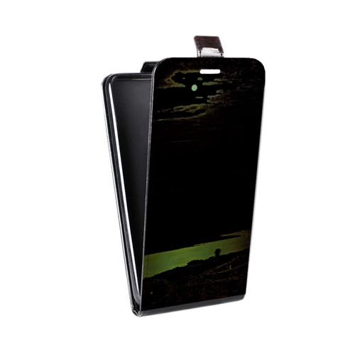 Дизайнерский вертикальный чехол-книжка для Asus ZenFone 4 Max Куинджи