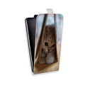 Дизайнерский вертикальный чехол-книжка для HTC One X10 Котята