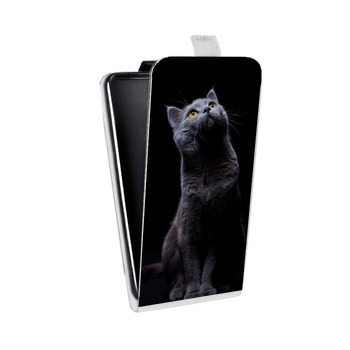 Дизайнерский вертикальный чехол-книжка для LG K7 Кошки (на заказ)