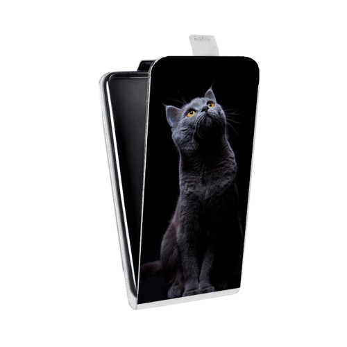 Дизайнерский вертикальный чехол-книжка для Iphone 11 Pro Кошки