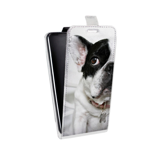 Дизайнерский вертикальный чехол-книжка для Samsung Galaxy A30 Собаки