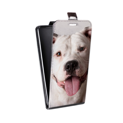 Дизайнерский вертикальный чехол-книжка для Samsung Galaxy A50 Собаки