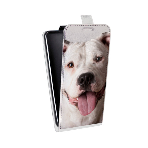 Дизайнерский вертикальный чехол-книжка для Samsung Galaxy Grand Собаки