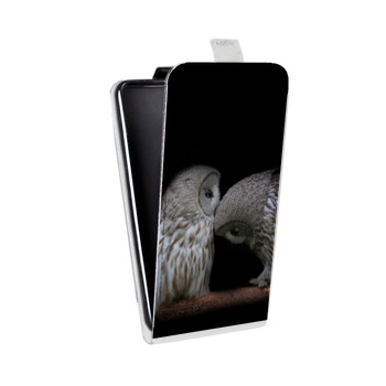 Дизайнерский вертикальный чехол-книжка для ASUS ZenFone Max Plus M1 Совы (на заказ)
